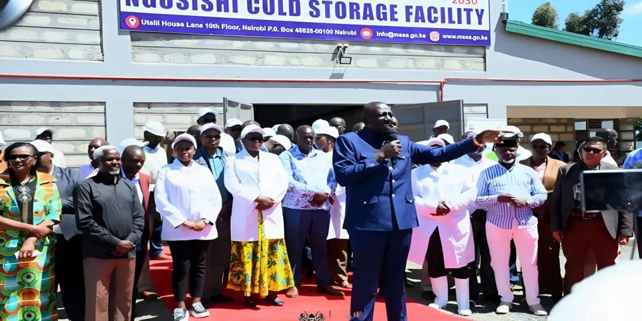 Kenya inaugurates potato cold storage facility in Meru
