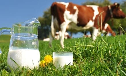 Study reveals antibiotic residue levels in Kenyan milk