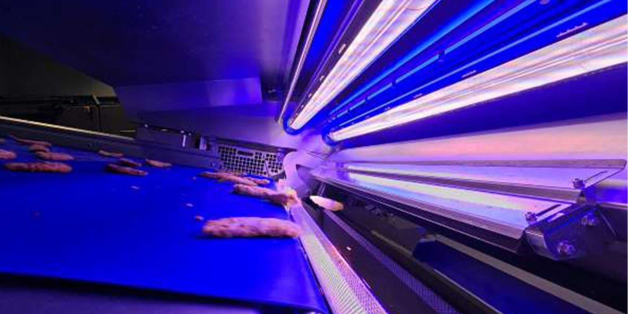 Key Technology introduces automated optical sorters for protein processing