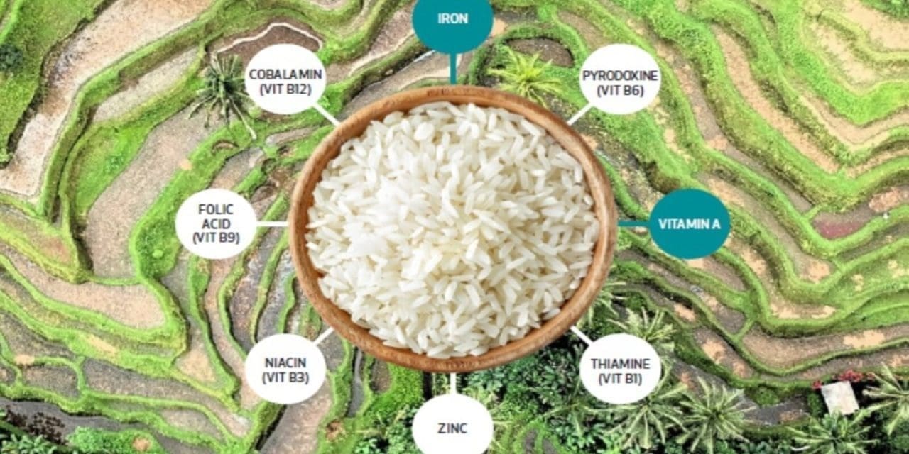 Experts recommend rice fortification as a measure to combat anemia in Nigeria