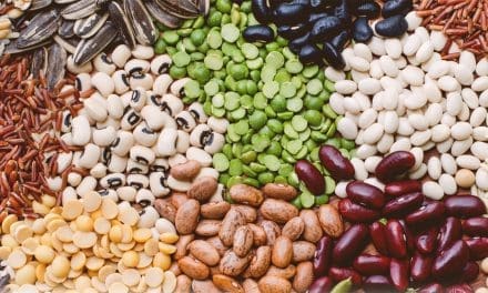 African Seed Trade Congress calls for stricter measures against fake seeds