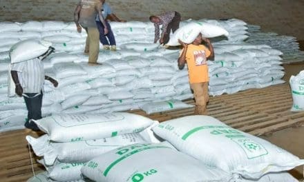 KEBS seizes 5,840 bags of counterfeit fertilizer in NCPB stores, blames merchant for breaching
