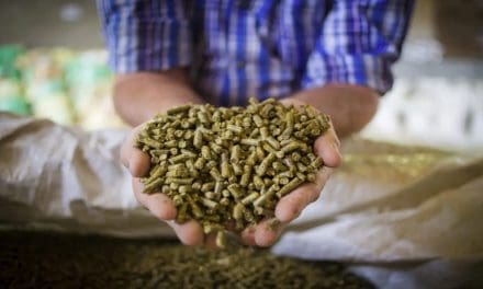 EPA draft evaluation raises concerns in feed industry over formaldehyde risks
