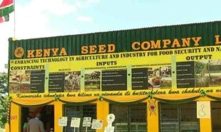 Kenya Seed Company to expand area under seed production to meet growing regional demand