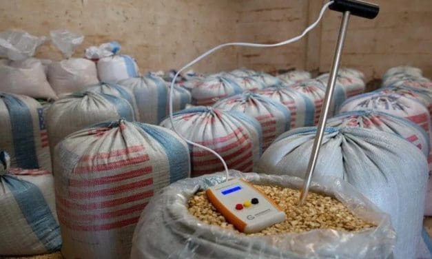 Rwanda sets new maize farm gate prices based on moisture content