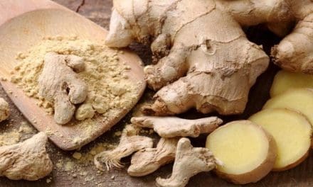 Nigerian FG allocates USD 1.2M to revive ginger production after fungal outbreak