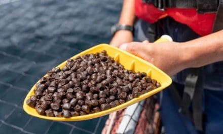 SCS Global Services becomes inaugural auditor for new aquafeed standard