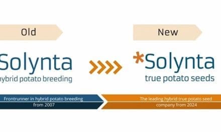 Solynta rebrands to ‘Solynta – True Potato Seed’