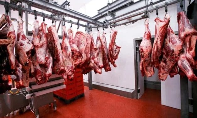 Uganda halts implementation of meat ban despite disease outbreak