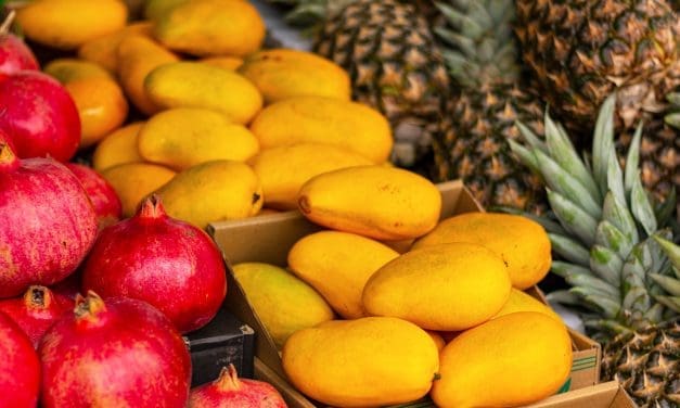 Burkina Faso introduces digital platform to streamline phytosanitary procedures for fruit exports