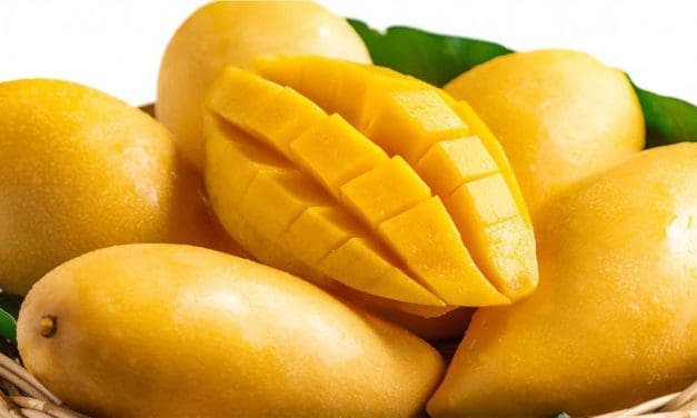 FDA Ghana issues warning against use of calcium carbide to ripen mangoes