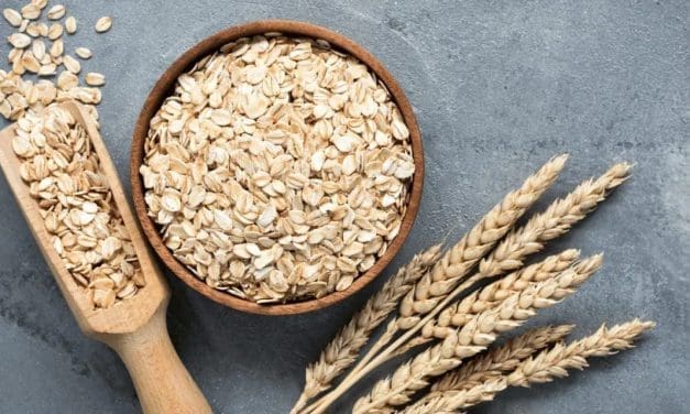 New oat quality consortium unveiled in Australia 