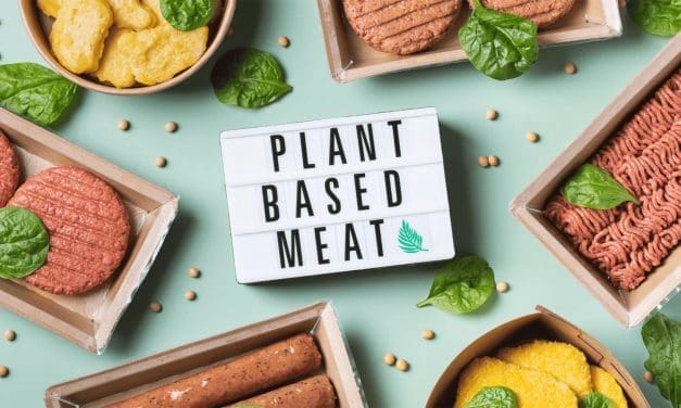 French court suspends ban on plant-based meat descriptors for second time