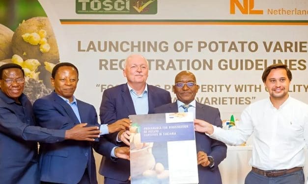 Tanzania introduces guidebook for registering potato seed varieties