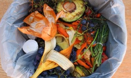 WWF partners with consumer goods forum to reduce food waste