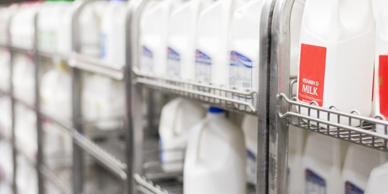 Retail milk samples test positive for avian influenza material